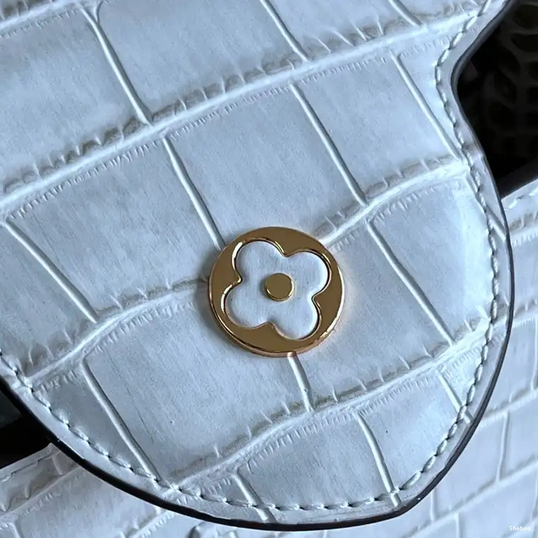 2210YA0129 Bag LV 0723